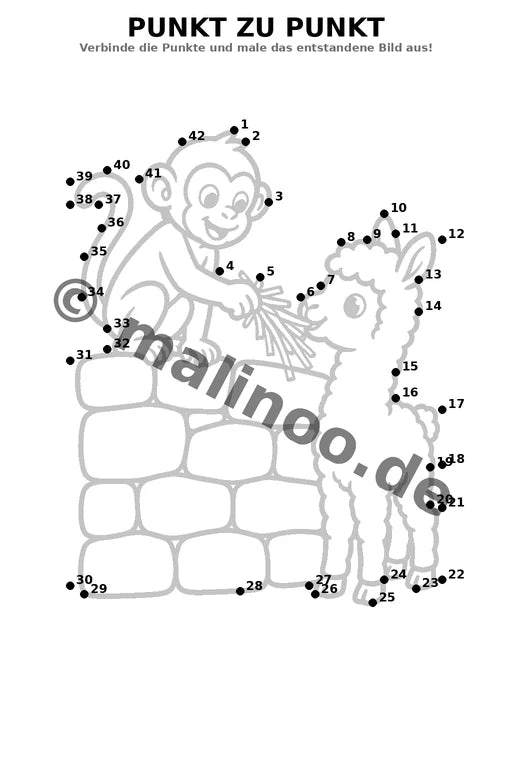 Affen – Bild 13