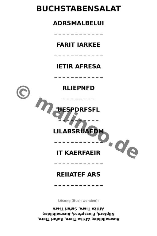 Flusspferde – Bild 13