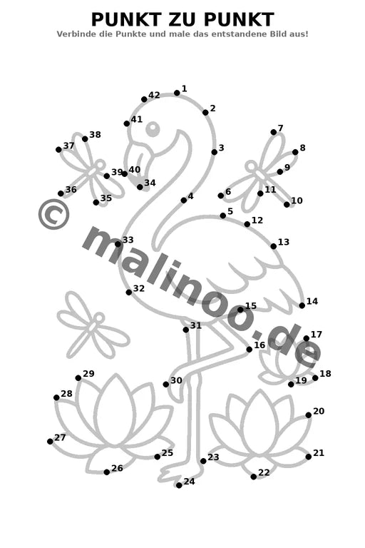 Flamingos – Bild 13