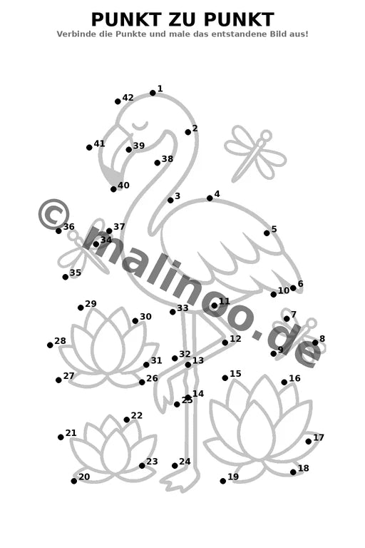 Flamingos – Bild 13