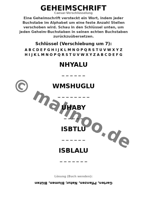 Blumen – Bild 13