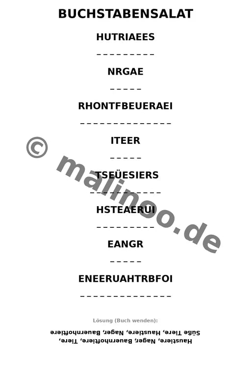 Meerschweinchen – Bild 13