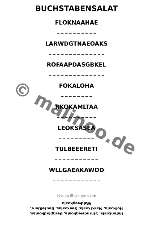 Koala's – Bild 13