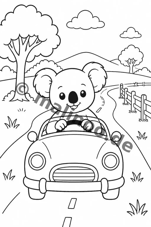 Koala's – Bild 13