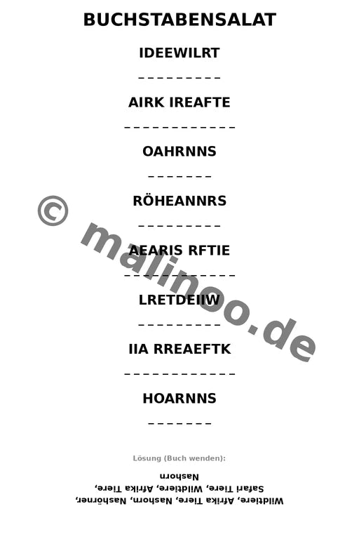 Nashörner – Bild 13