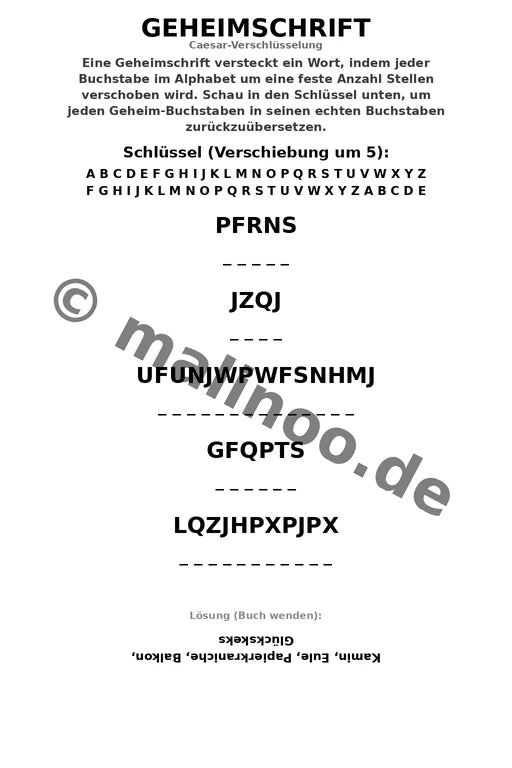 Silvester – Bild 13