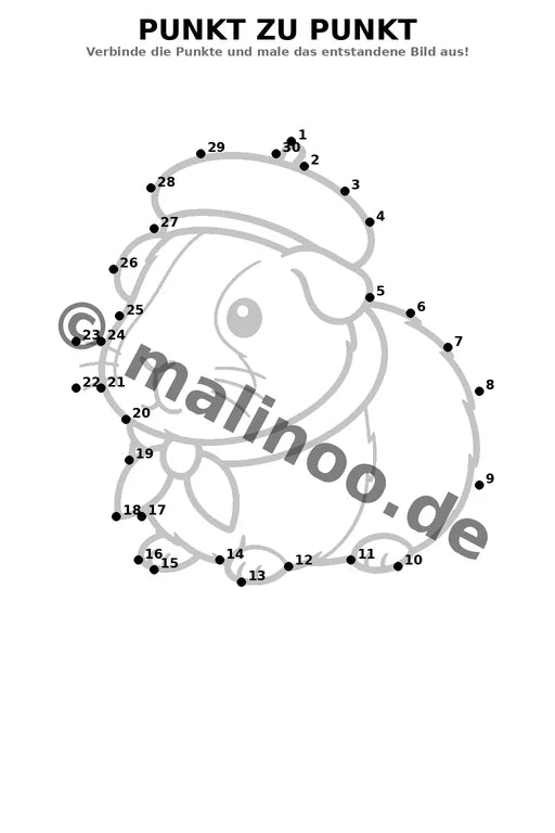 Meerschweinchen – Bild 13