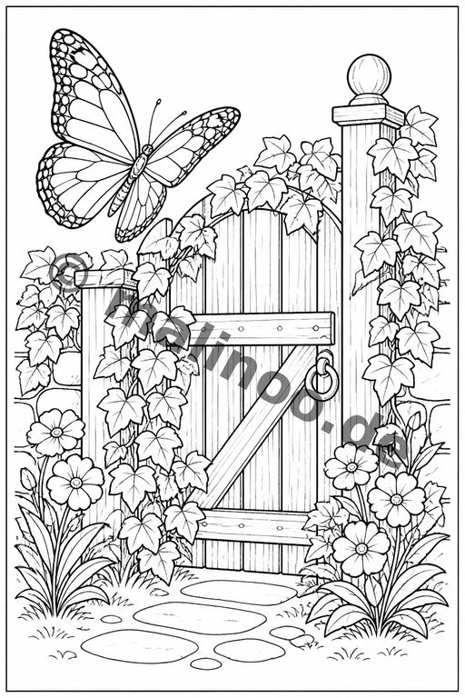 Schmetterlinge – Bild 13