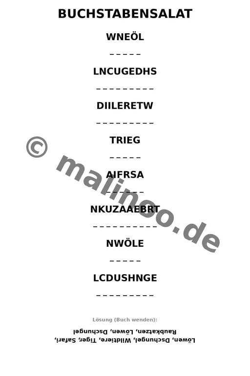 Löwen – Bild 13
