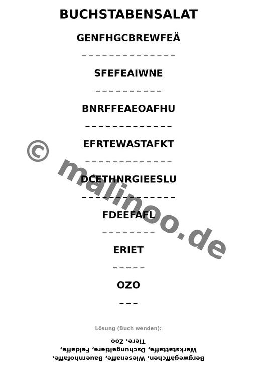 Esel – Bild 13
