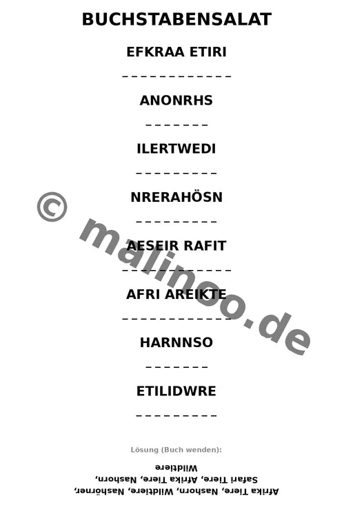 Nashörner – Bild 13