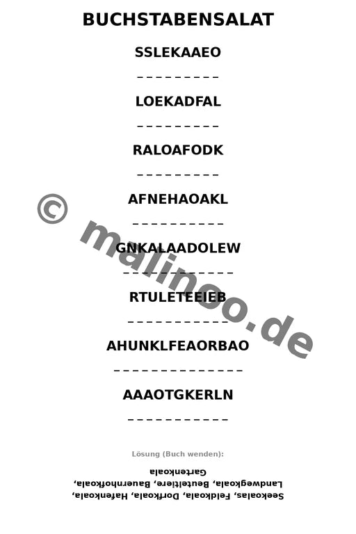Koala's – Bild 13