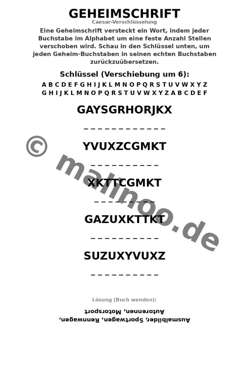 Rennwagen – Bild 13