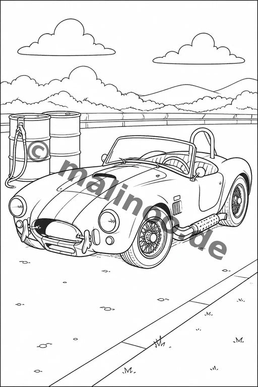 Rennwagen – Bild 13