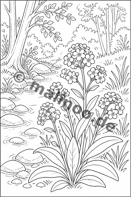 Blumen – Bild 13