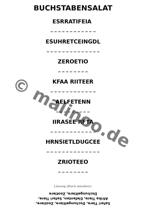Elefanten – Bild 13