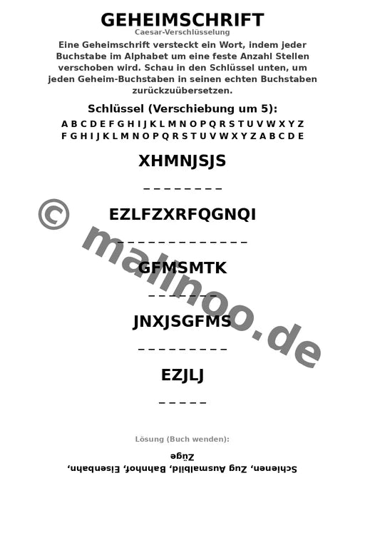 Zugaktivitäten – Bild 13