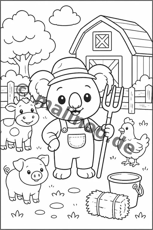 Koala's – Bild 13