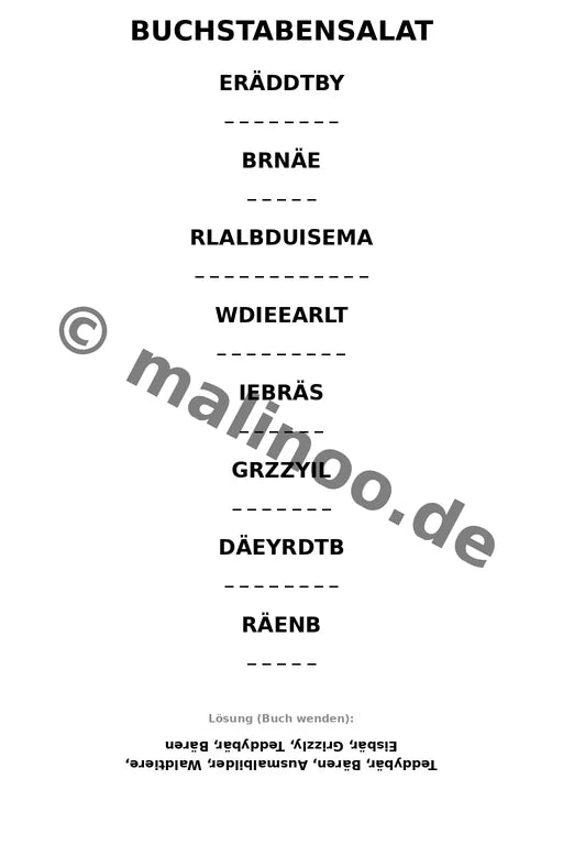 Bären – Bild 13