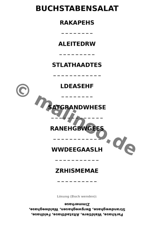 Hasen – Bild 13