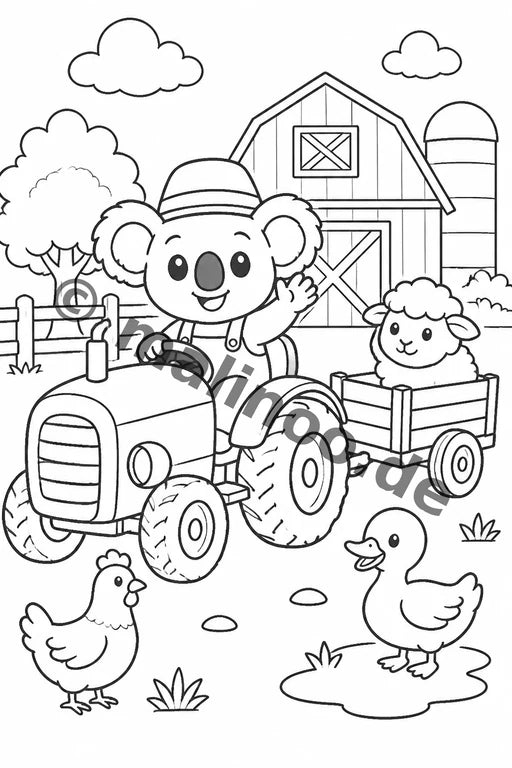 Koala's – Bild 13