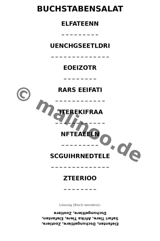 Elefanten – Bild 13