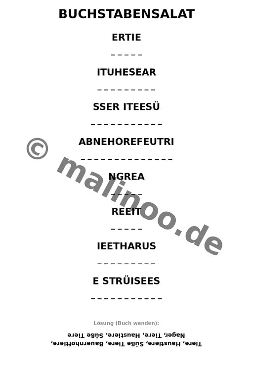 Meerschweinchen – Bild 13