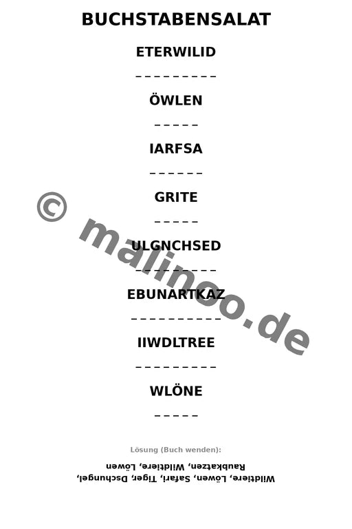 Löwen – Bild 13