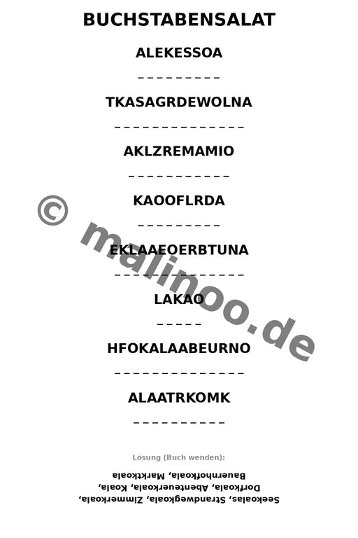 Koala's – Bild 13