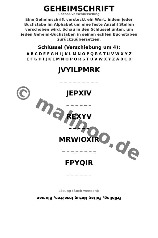 Schmetterlinge – Bild 13