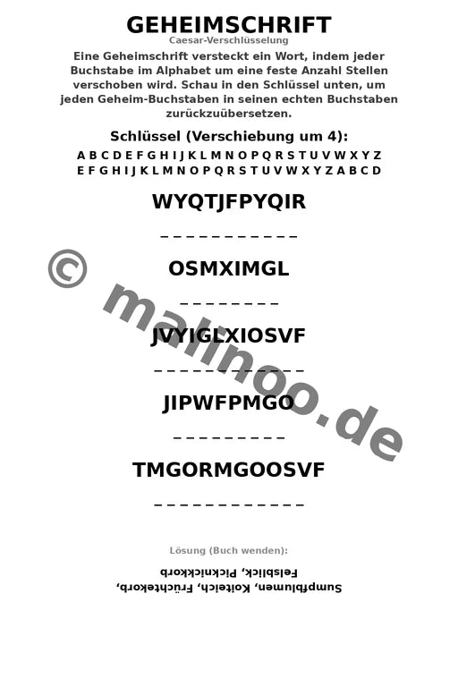 Flamingos – Bild 13