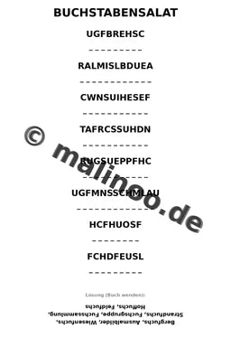 Füchse – Bild 14
