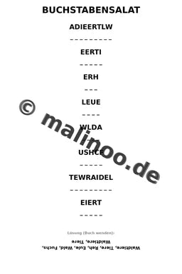 Waldtiere – Bild 14