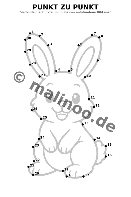 Hasen – Bild 15