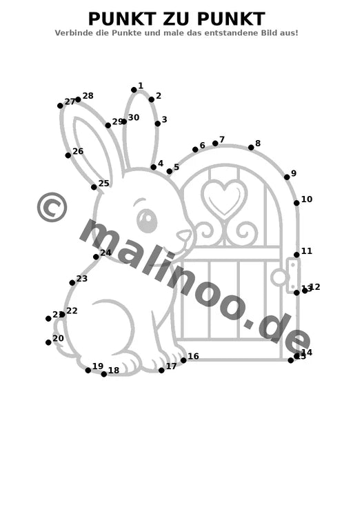 Hasen – Bild 15