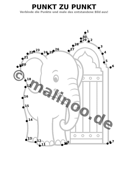 Elefanten – Bild 15