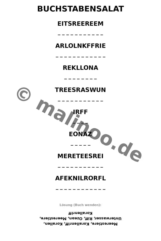 Korallenriffe – Bild 15