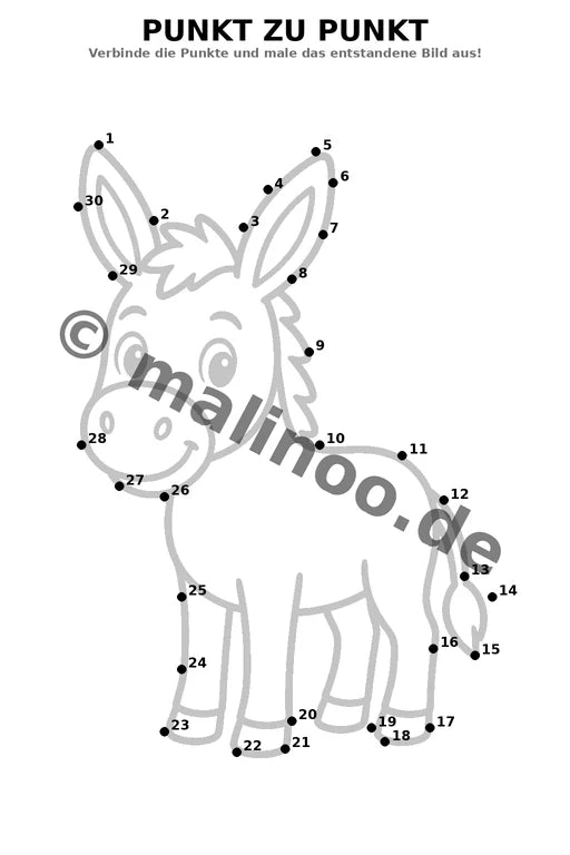 Esel – Bild 15