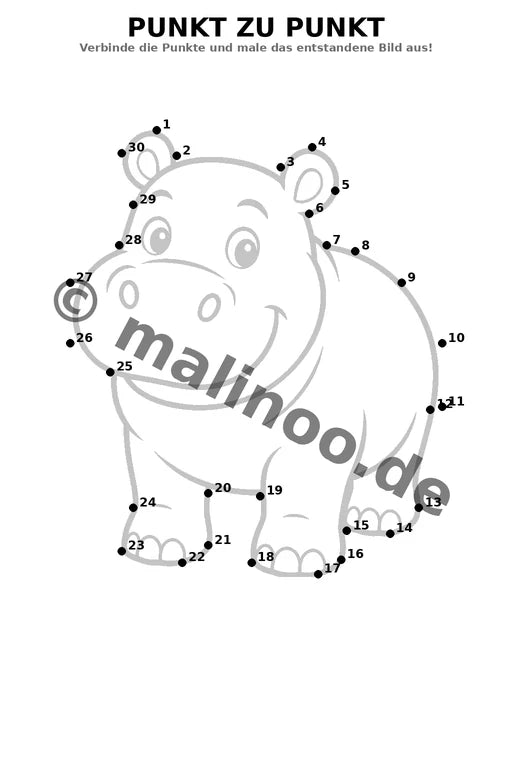 Flusspferde – Bild 15
