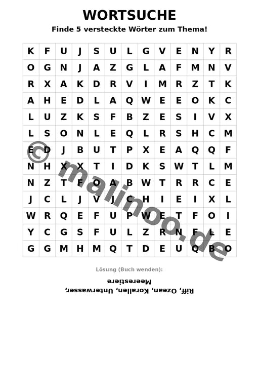 Korallenriffe – Bild 15