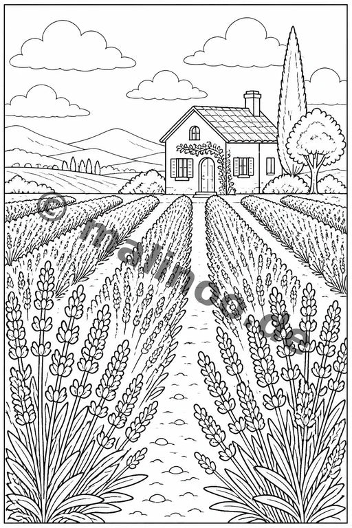 Blumen – Bild 15