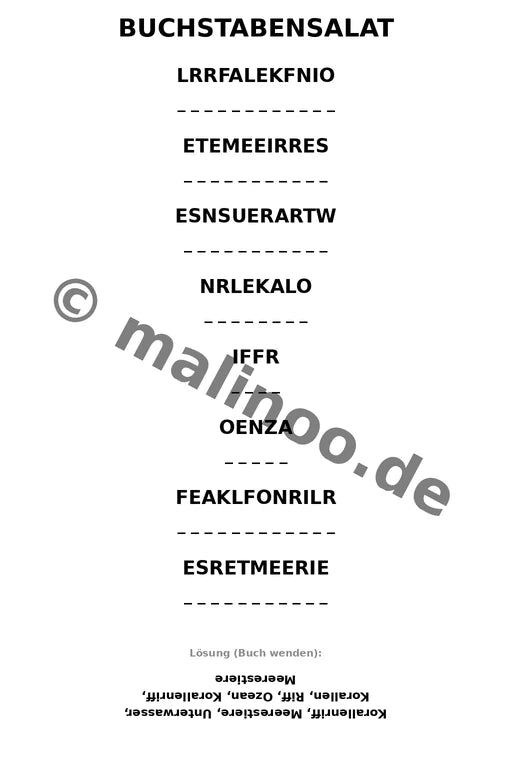 Korallenriffe – Bild 15