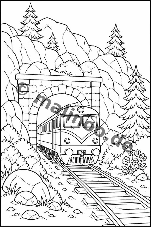 Züge – Bild 15