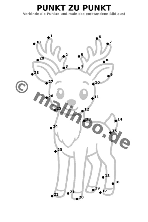 Waldtiere – Bild 15