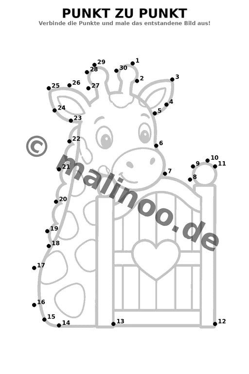 Giraffen – Bild 15