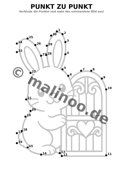 Hasen – Bild 15