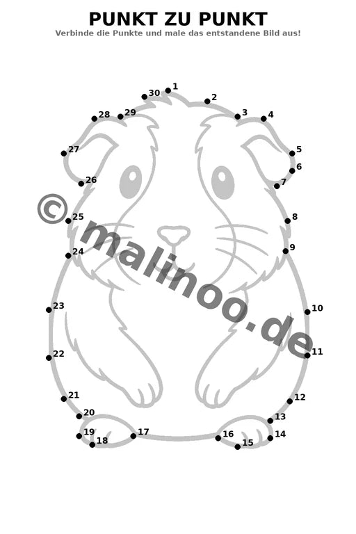 Meerschweinchen – Bild 15