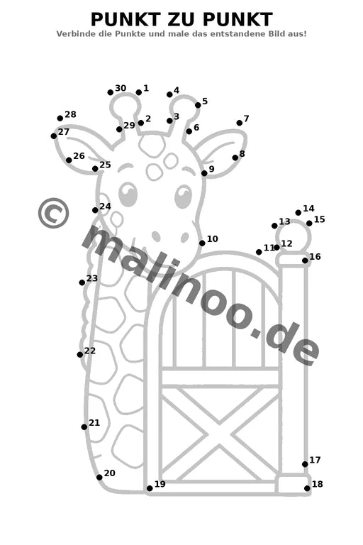 Giraffen – Bild 15