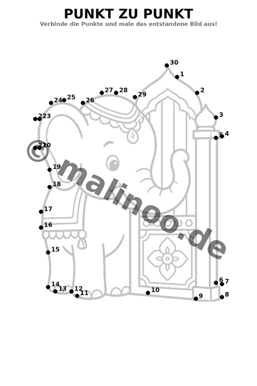 Elefanten – Bild 15