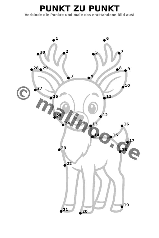 Waldtiere – Bild 15